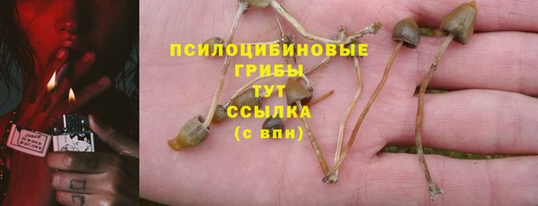 гашик Лихославль