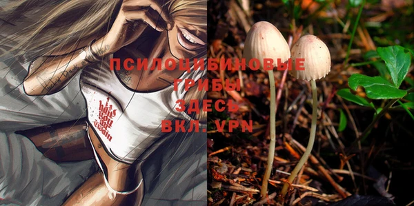 экстази Лиски
