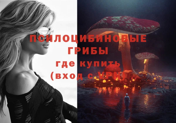 каннабис Майский