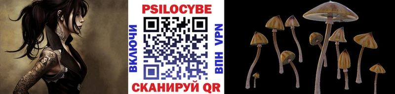 Купить где  Сковородино  Псилоцибиновые грибы Cubensis 